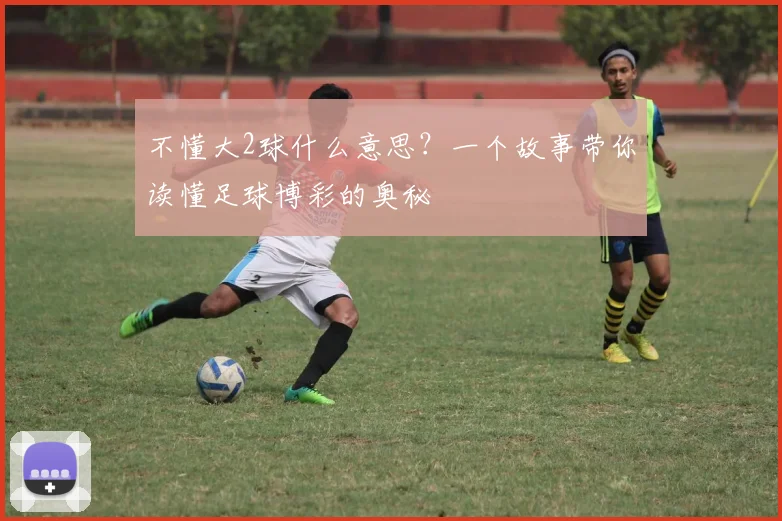 不懂大2球什么意思？一个故事带你读懂足球博彩的奥秘